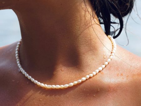 Freshwater Pearl Choker Online now