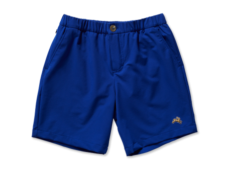 Men s Falmouth Shorts | 7 Inch | Royal For Cheap