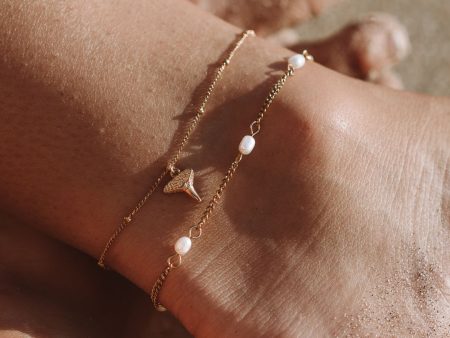 Shark Tooth Anklet Online