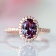 Iris Alexandrite Ring- 14K Rose Gold Vermeil Sale