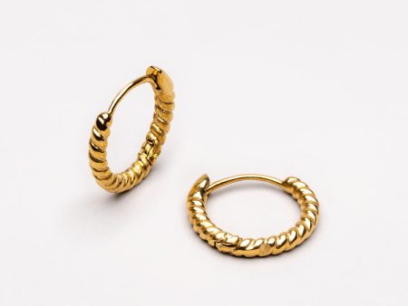 Twisted Hoops Earrings For Cheap