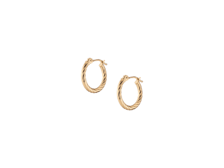 Thin Twisted Hoop Earrings Discount