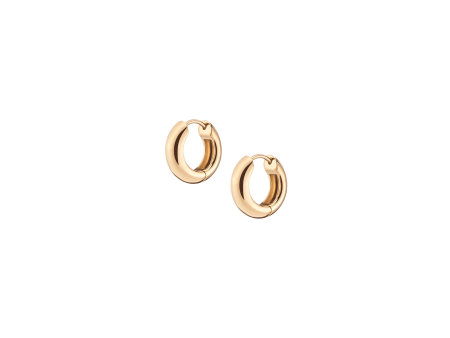 Small Chunky Hinged Hoop Earrings For Cheap