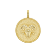 Zodiac Coin Medallion Charm For Sale