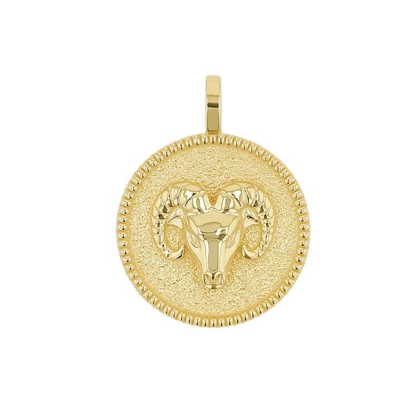 Zodiac Coin Medallion Charm For Sale