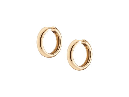 Medium Chunky Hinged Hoop Earrings Supply