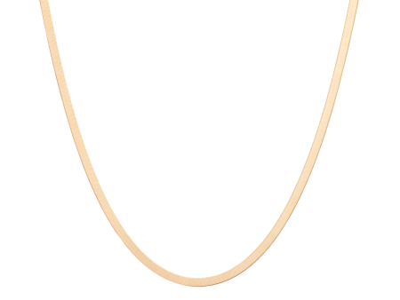 Gold Herringbone Chain Necklace Online now