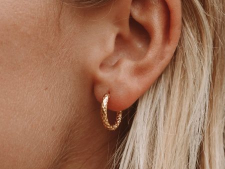 Hammered Hoops Earrings Online