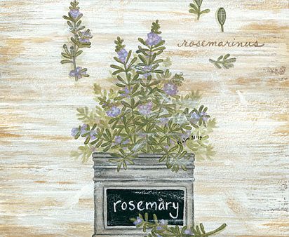 ALP1818 - Rosemary Botanical - 12x16 Online Hot Sale