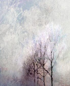 BLUE230 - First Light Winter Forest - 12x24 Cheap