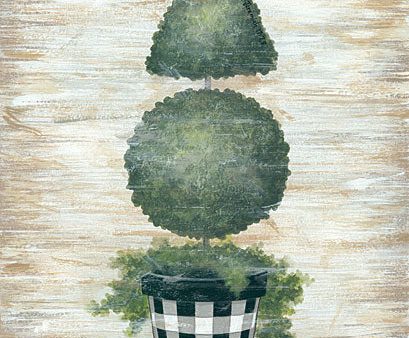 ALP1814 - Gingham Topiary Cone - 12x16 Fashion