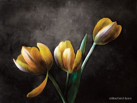 BLUE237 - Contemporary Floral Tulips - 16x12 Online